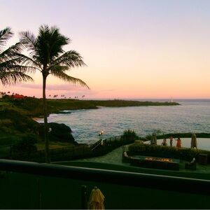 Meet your Posher, Peanut